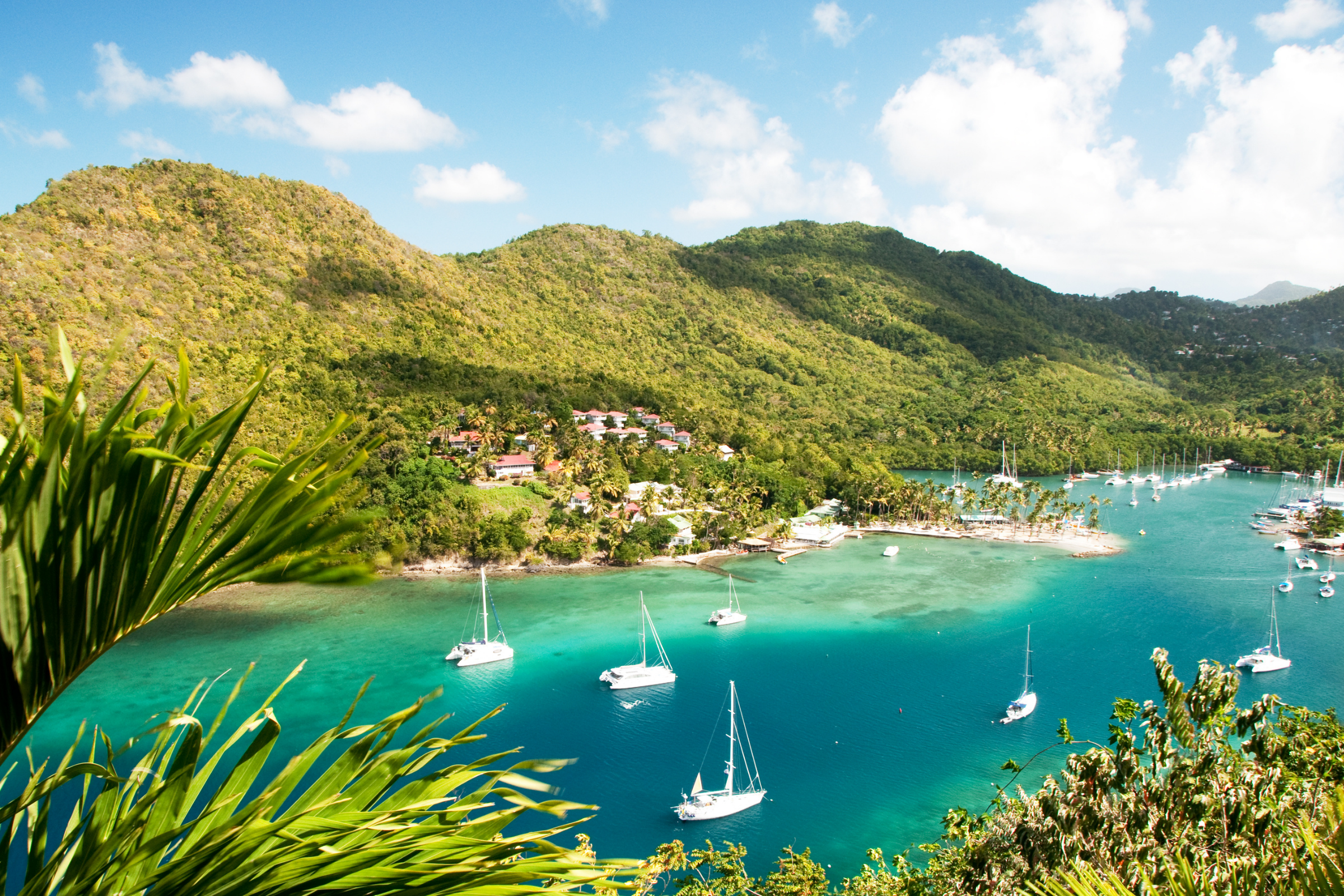 st lucia (3).webp